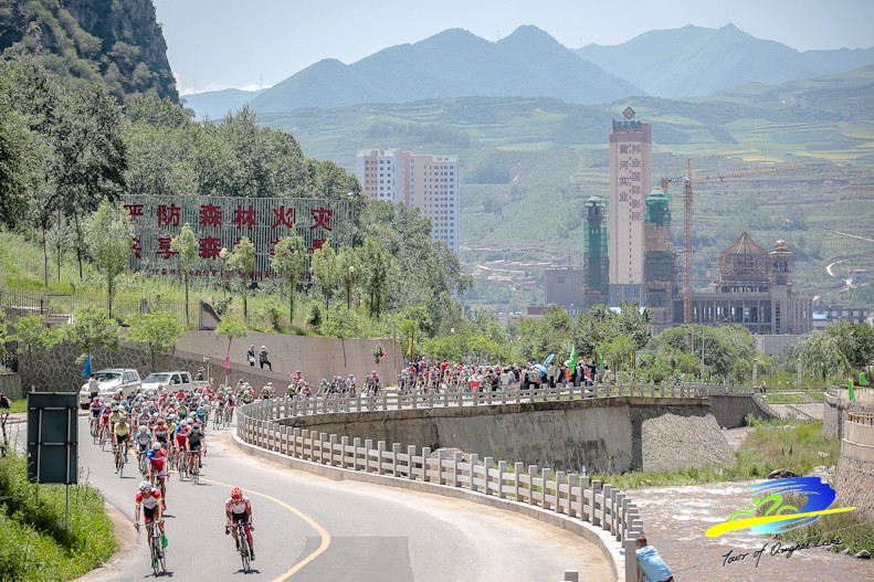 TDQL-S2_1482