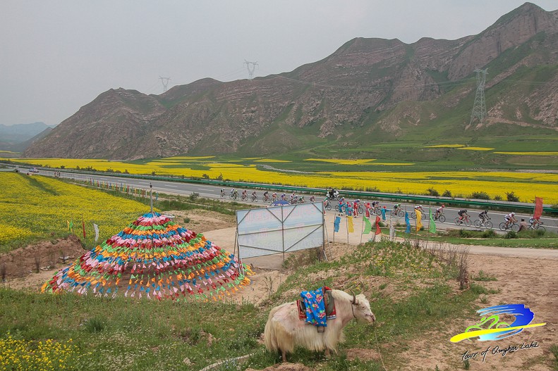 TDQL2015 (4044 - 1776)