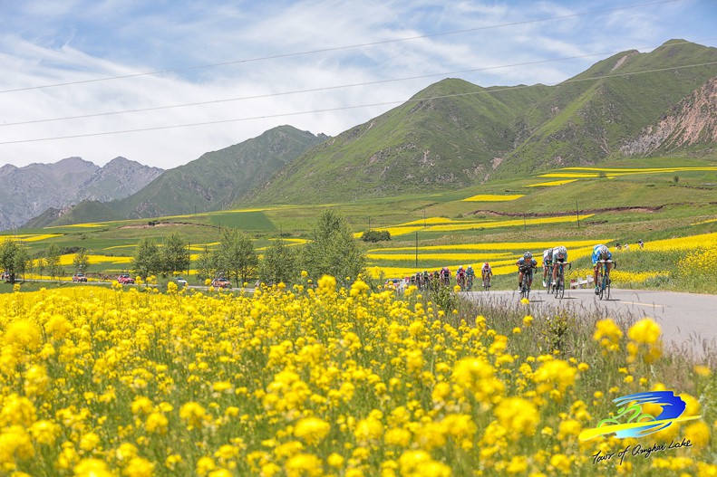TDQL2015-s7-2720-2