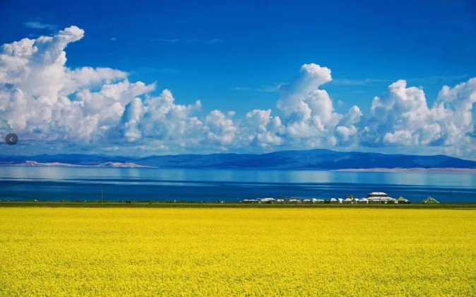 tdql2_20250609064709