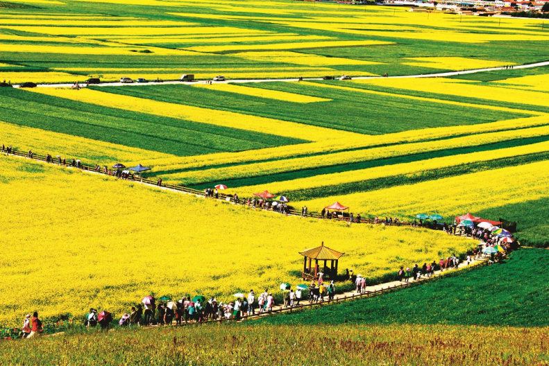 tdq1_2025-07-19_103109_062