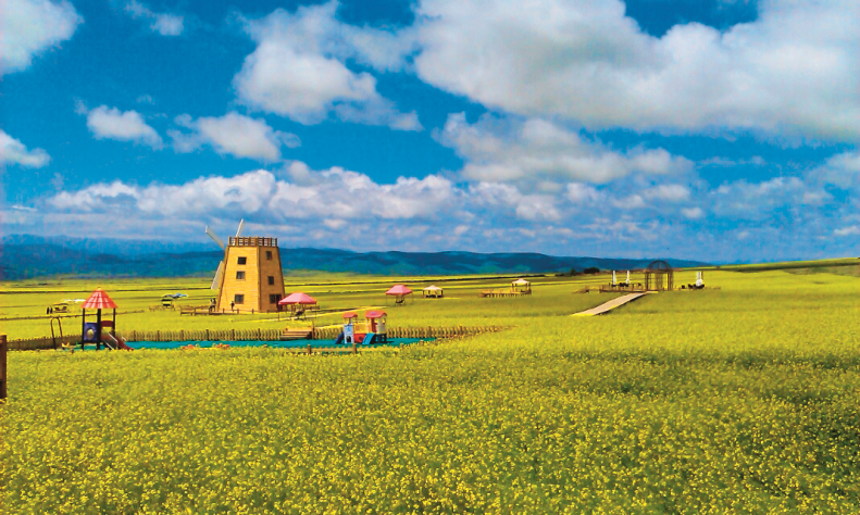 tdql2_2025-07-19_103215_695