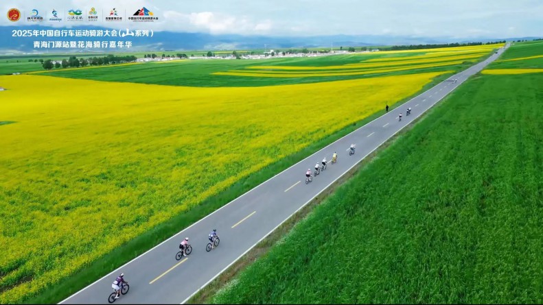 tdql3_2025-07-25_115519_672