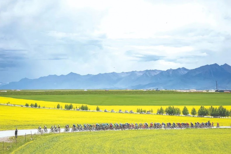 tdql5-1_2025-07-19_105803_875