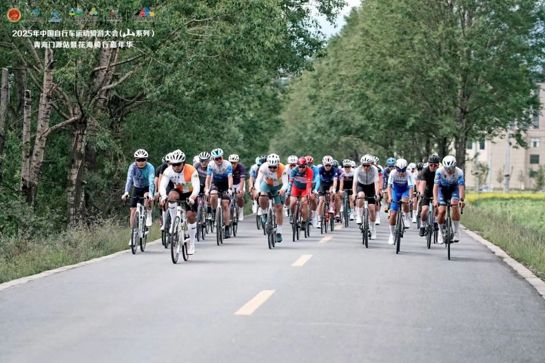 tdql6_2025-07-25_115614_703